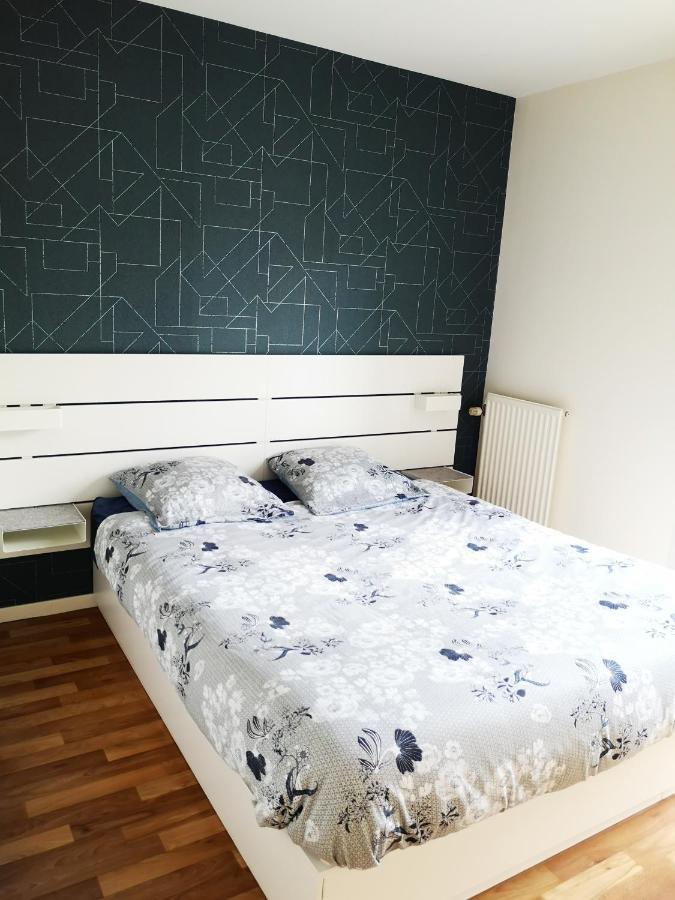 Appartement T3 Centre Ville Mabilais Au Calme. Rennes Exterior foto